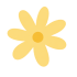 flor amarilla