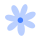 flor azul