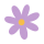 flor lila