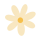 flor vainilla