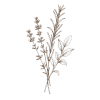 ramitas