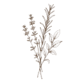ramitas